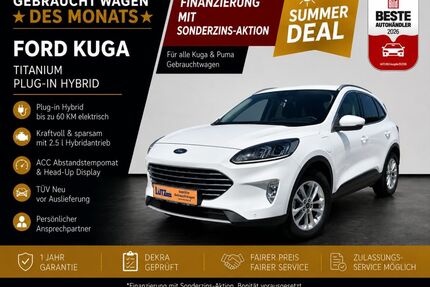 Ford Kuga Gebrauchtwagen