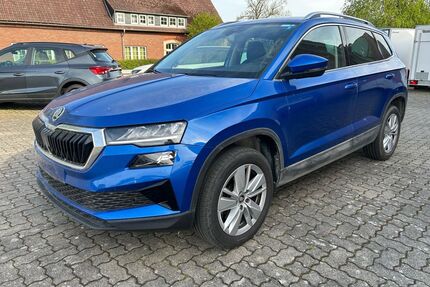 Skoda Karoq Gebrauchtwagen