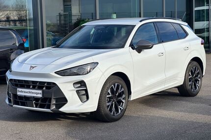 Cupra Terramar Gebrauchtwagen