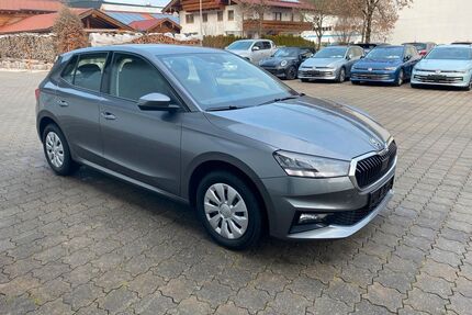 Skoda Fabia Gebrauchtwagen
