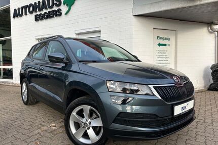 Skoda Karoq Gebrauchtwagen