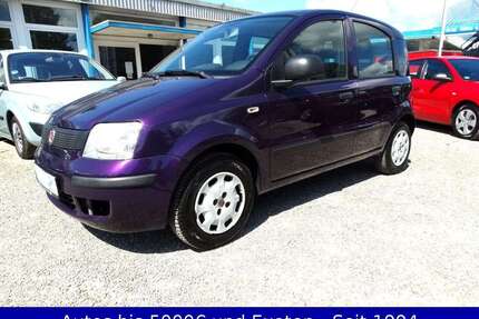 Fiat New Panda 