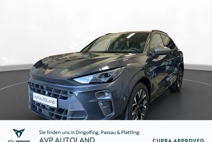 Cupra Terramar Gebrauchtwagen