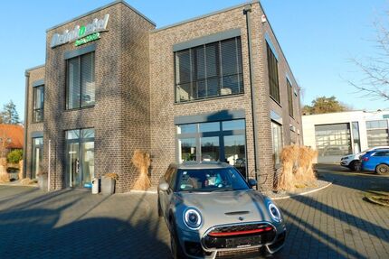 Mini John Cooper Works Gebrauchtwagen