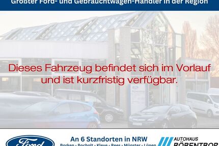 Renault Austral Gebrauchtwagen