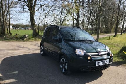 Fiat Panda Gebrauchtwagen