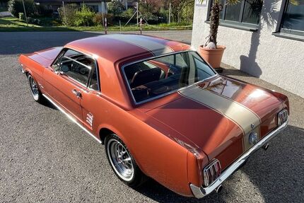 Ford Mustang Gebrauchtwagen