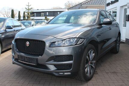Jaguar F-Pace Gebrauchtwagen