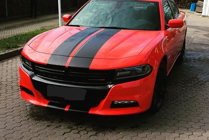 Dodge Charger Gebrauchtwagen