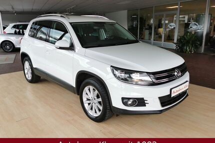 VW Tiguan Gebrauchtwagen