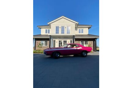 Dodge Challenger Gebrauchtwagen