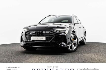 Audi e-tron Gebrauchtwagen