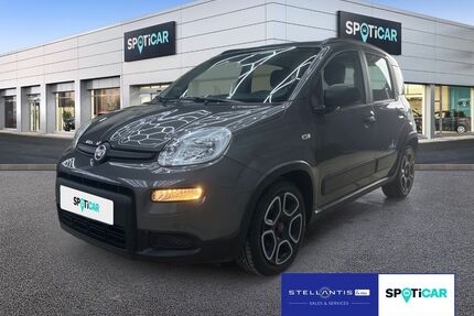 Fiat Panda Gebrauchtwagen