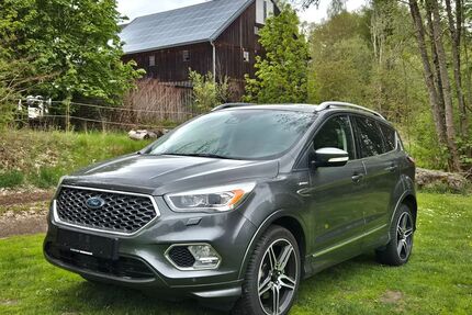 Ford Kuga Gebrauchtwagen
