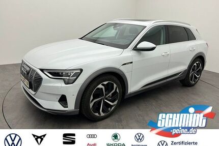 Audi e-tron Gebrauchtwagen