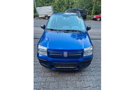 Fiat Panda Gebrauchtwagen