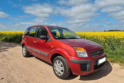 Ford Fusion Gebrauchtwagen