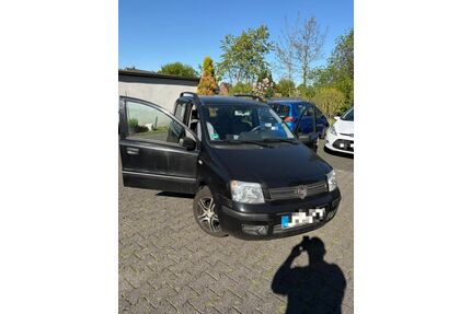 Fiat Panda Gebrauchtwagen