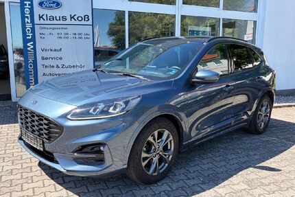 Ford Kuga Gebrauchtwagen