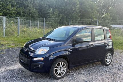 Fiat New Panda Gebrauchtwagen