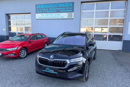 Skoda Karoq Gebrauchtwagen