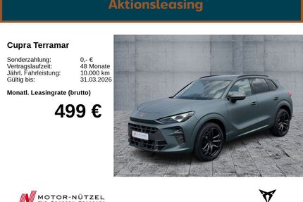 Cupra Terramar Gebrauchtwagen
