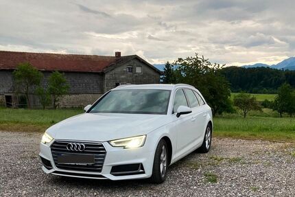 Audi A4 Gebrauchtwagen