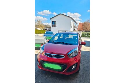 Kia Picanto Gebrauchtwagen