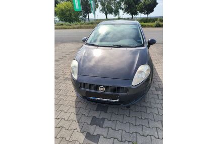Fiat Punto Gebrauchtwagen