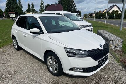 Skoda Fabia Gebrauchtwagen