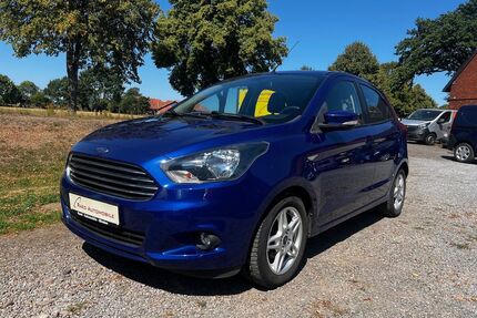 Ford Ka/Ka+ Gebrauchtwagen