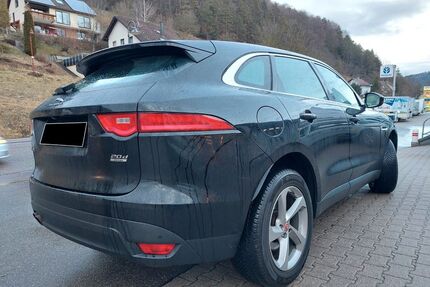 Jaguar F-Pace Gebrauchtwagen