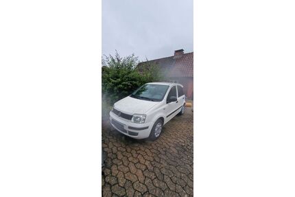 Fiat Panda Gebrauchtwagen