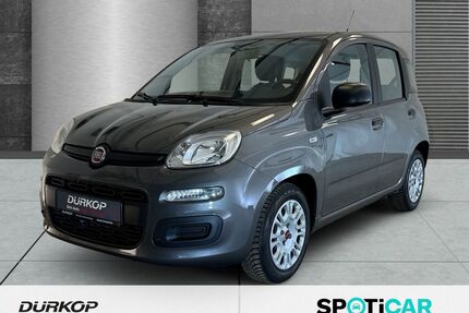 Fiat Panda Gebrauchtwagen