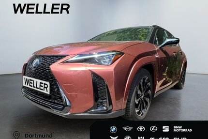 Lexus UX Gebrauchtwagen