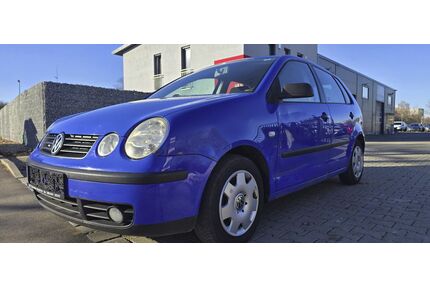 VW Polo Gebrauchtwagen