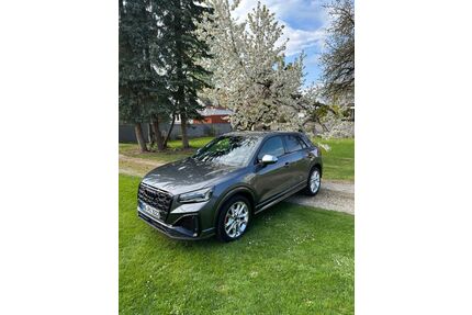 Audi SQ2 Gebrauchtwagen