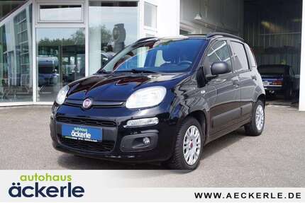 Fiat Panda Gebrauchtwagen