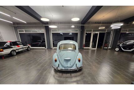 VW Käfer Gebrauchtwagen