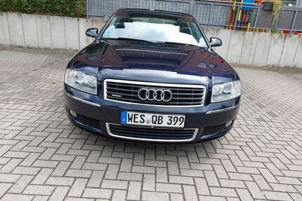 Audi A8 Gebrauchtwagen