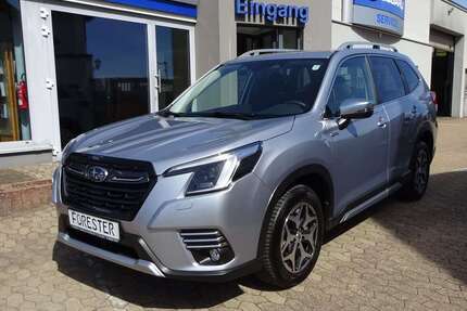 Subaru Forester Gebrauchtwagen
