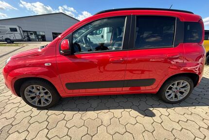 Fiat Panda Gebrauchtwagen