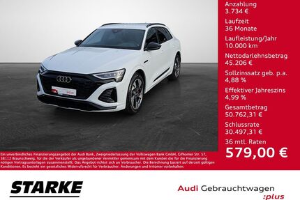 Audi Q8 e-tron Gebrauchtwagen