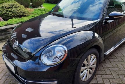 VW Beetle Gebrauchtwagen