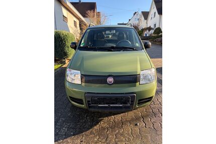 Fiat Panda Gebrauchtwagen