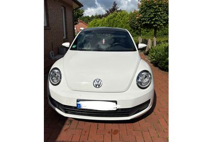VW Beetle Gebrauchtwagen