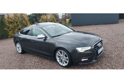 Audi A5 Gebrauchtwagen