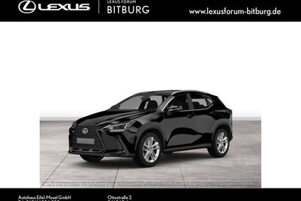 Lexus NX 450h Gebrauchtwagen