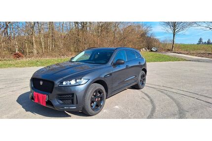 Jaguar F-Pace Gebrauchtwagen