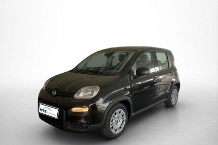 Fiat Panda Gebrauchtwagen